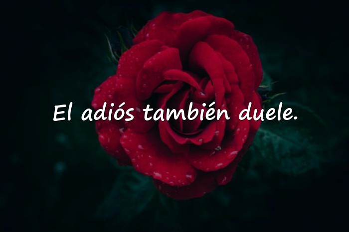 Imágenes frases de despedida - 11