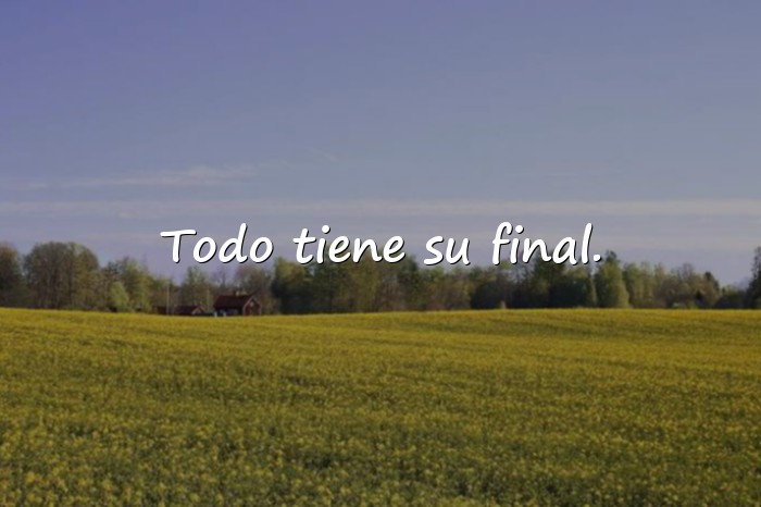 Imágenes frases de despedida - 22