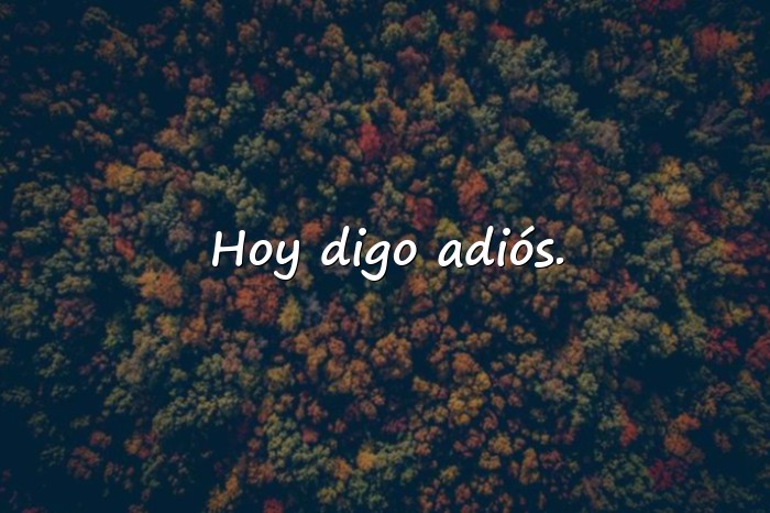 Imágenes frases de despedida - 20