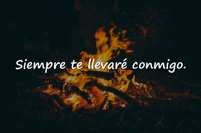 Imágenes frases de despedida - 15