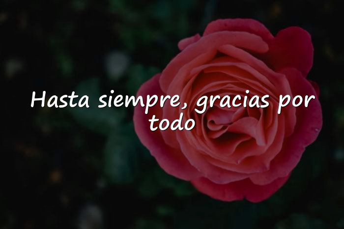 Imágenes frases de despedida - 1