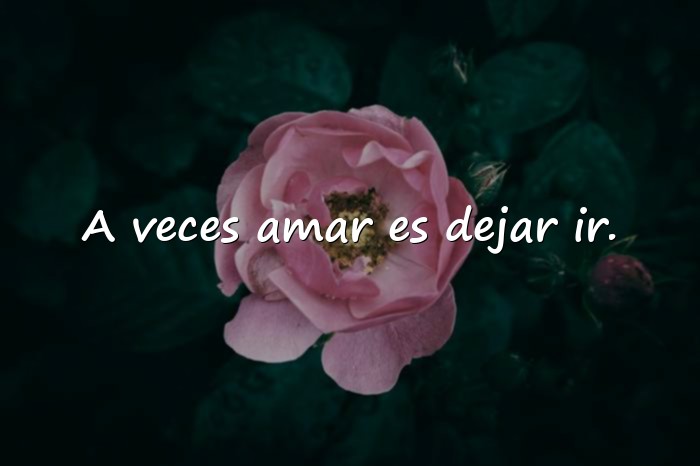 Imágenes frases de despedida de amor - 15