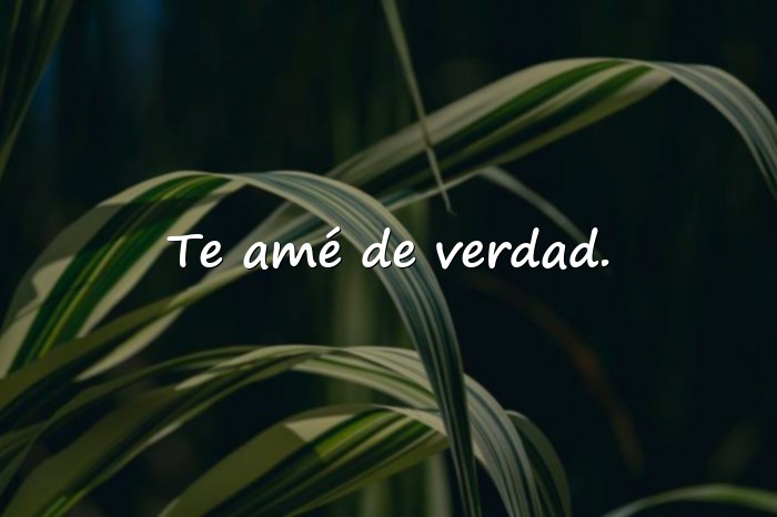 Imágenes frases de despedida de amor - 11