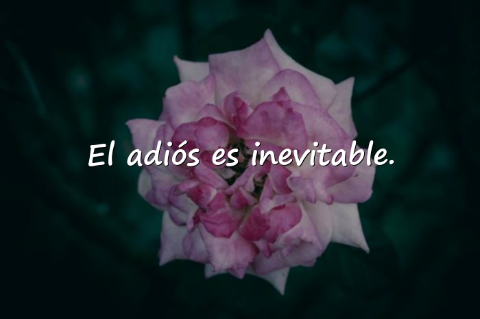 Imágenes frases de despedida de amor - 21