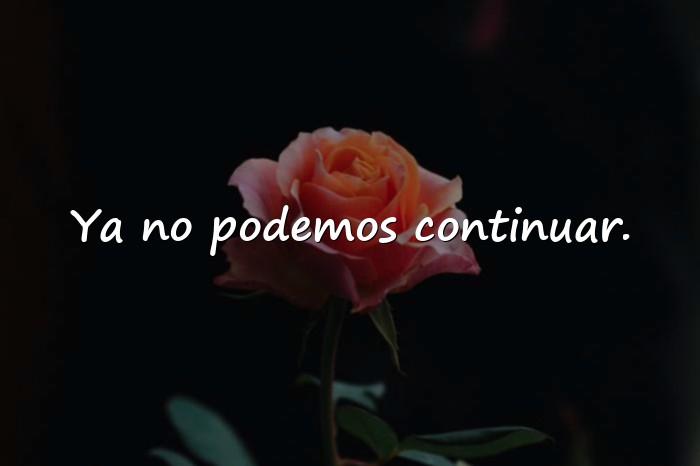 Imágenes frases de despedida de amor - 16