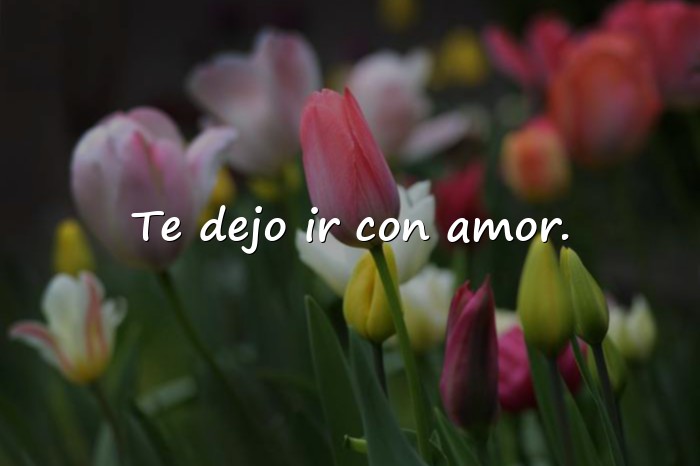 Imágenes frases de despedida de amor - 11