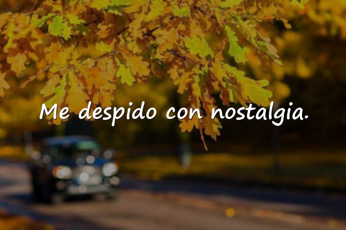 Imágenes frases de despedida de amor - 6