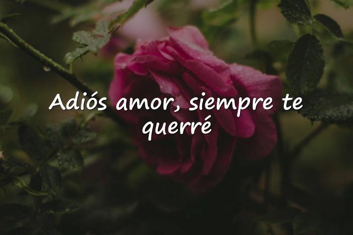 Imágenes frases de despedida de amor - 1