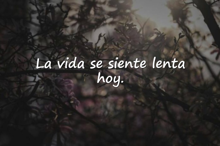 Imágenes frases de domingo - 15
