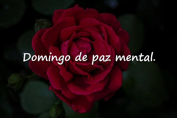 Imágenes frases de domingo - 10