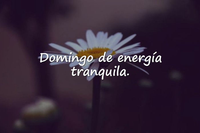 Imágenes frases de domingo - 25