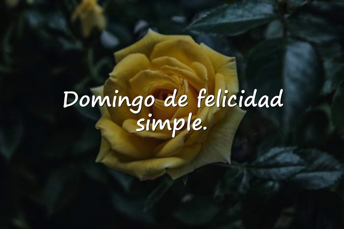 Imágenes frases de domingo - 15