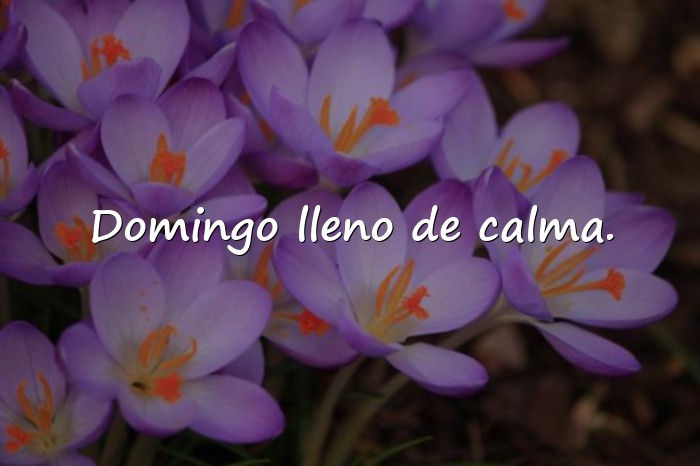 Imágenes frases de domingo - 6