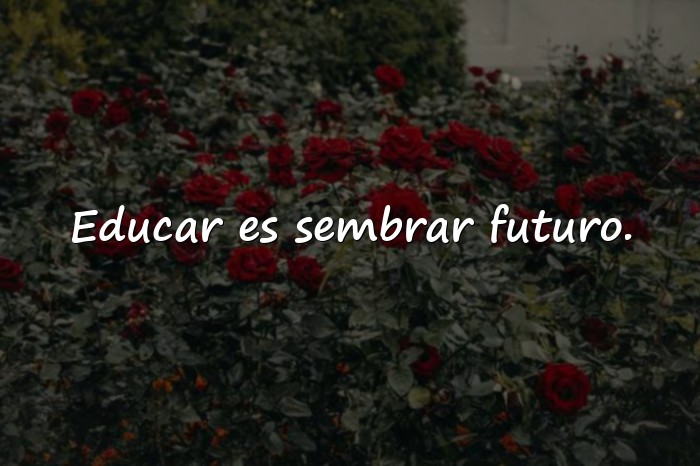Imágenes frases de educacion - 20
