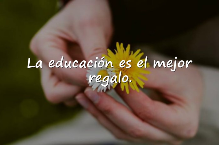 Imágenes frases de educacion - 15