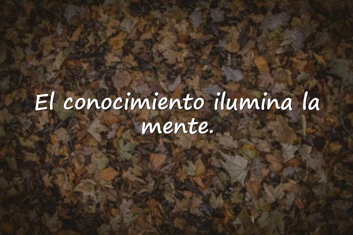 Imágenes frases de educacion - 10