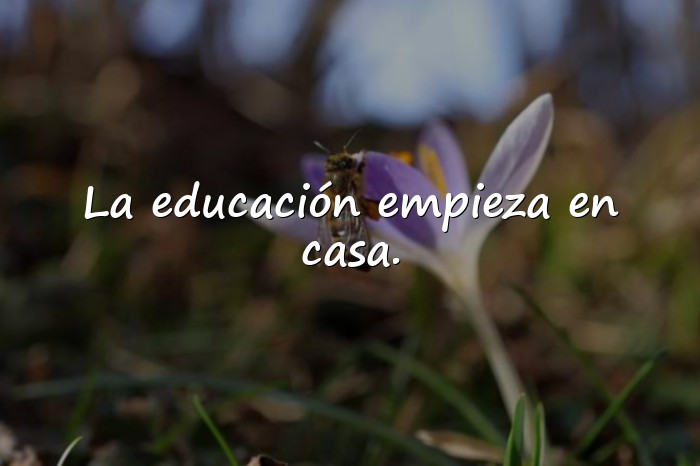 Imágenes frases de educacion - 1
