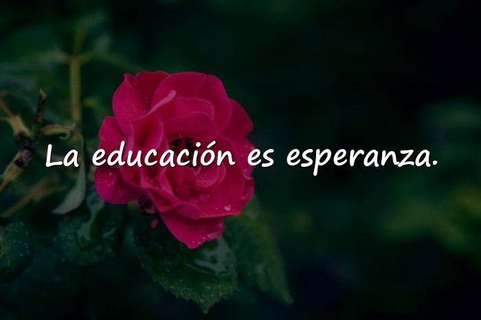 Imágenes frases de educacion - 21