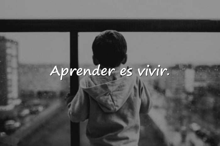 Imágenes frases de educacion - 16