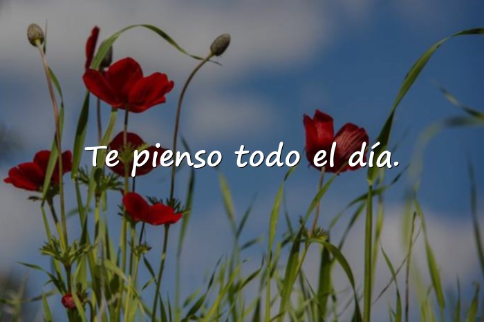 Imágenes frases de enamorados - 18