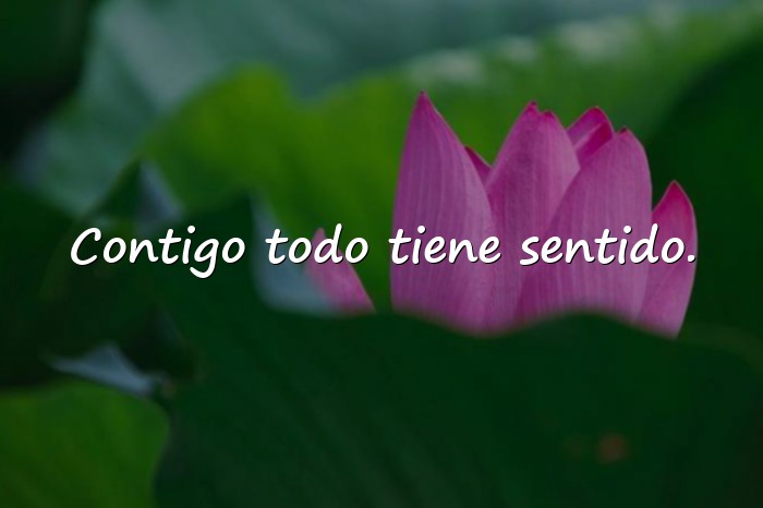 Imágenes frases de enamorados - 10