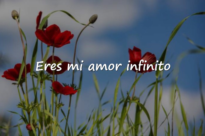 Imágenes frases de enamorados - 1