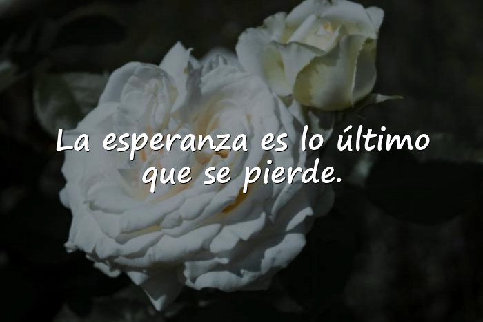 Imágenes frases de esperanza - 12
