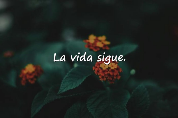 Imágenes frases de esperanza - 3