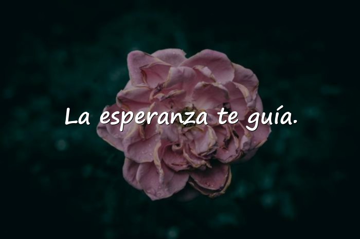 Imágenes frases de esperanza - 25