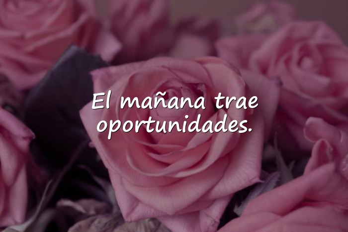 Imágenes frases de esperanza - 18