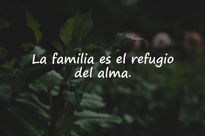 Imágenes frases de familia - 14