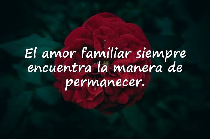 Imágenes frases de familia - 24