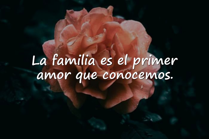 Imágenes frases de familia - 19