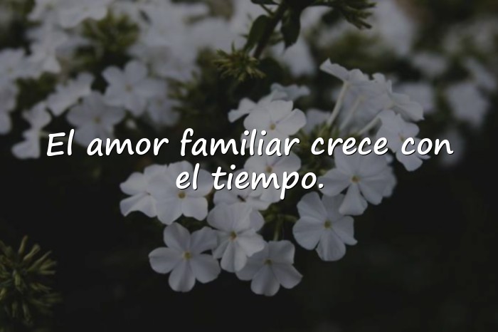 Imágenes frases de familia - 16