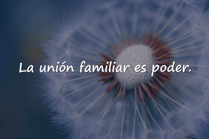 Imágenes Frases de Familia Unida - 2