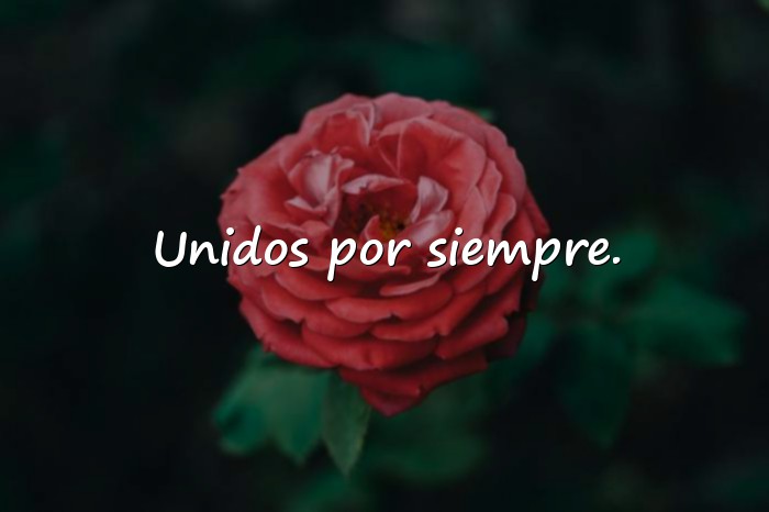 Imágenes Frases de Familia Unida - 24