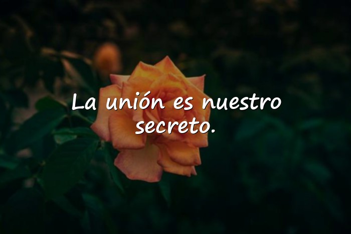 Imágenes Frases de Familia Unida - 19