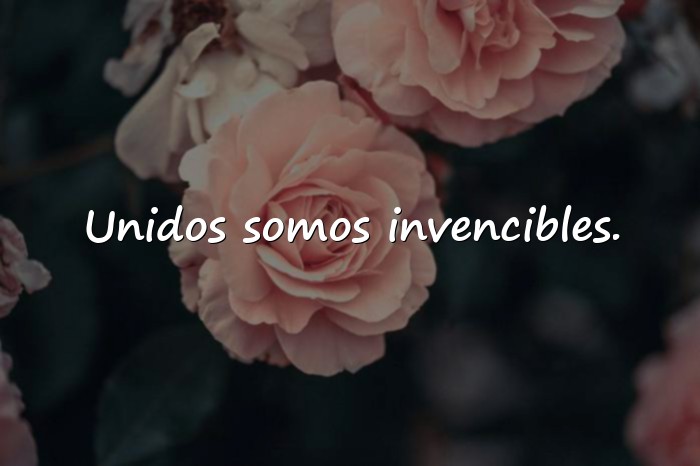 Imágenes Frases de Familia Unida - 16