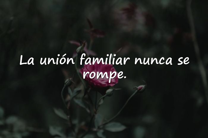 Imágenes Frases de Familia Unida - 8