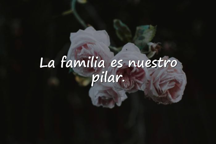 Imágenes Frases de Familia Unida - 5
