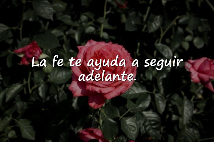 Imágenes frases de fe - 21