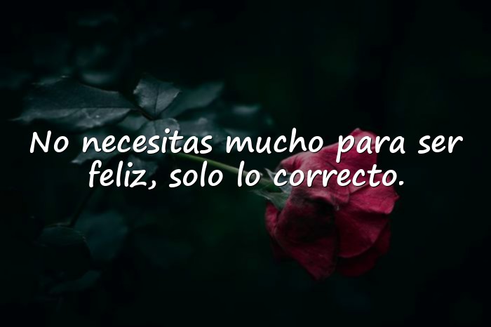 Imágenes frases de felicidad - 21