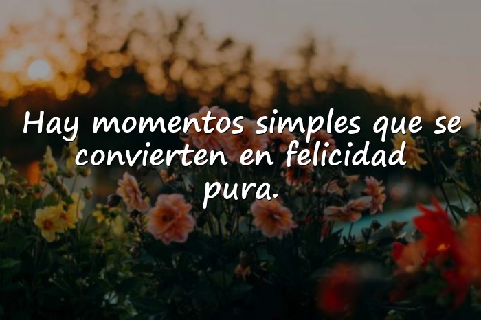 Imágenes frases de felicidad - 16