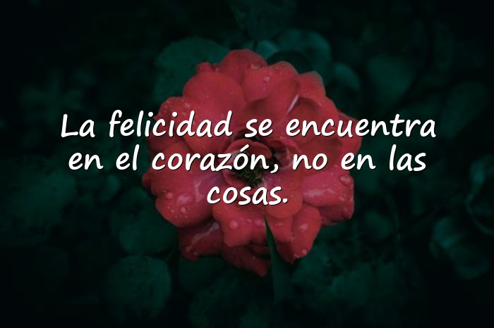 Imágenes frases de felicidad - 11