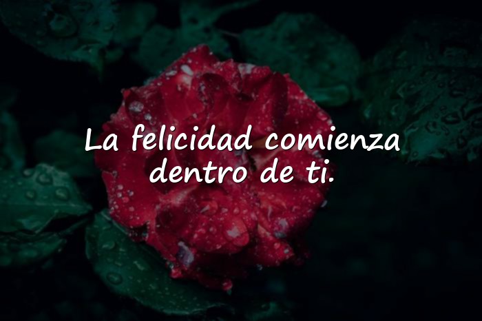 Imágenes frases de felicidad - 21