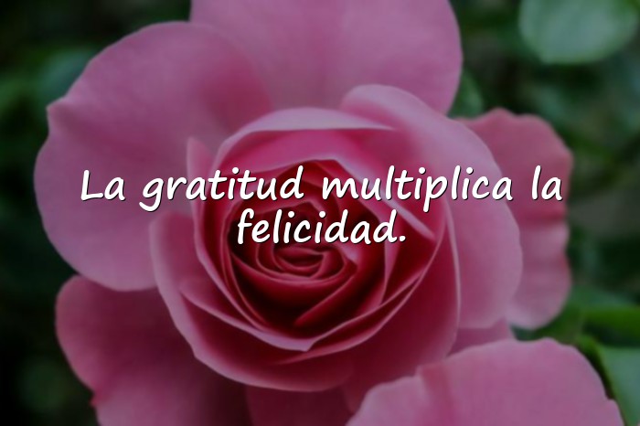 Imágenes frases de felicidad - 6