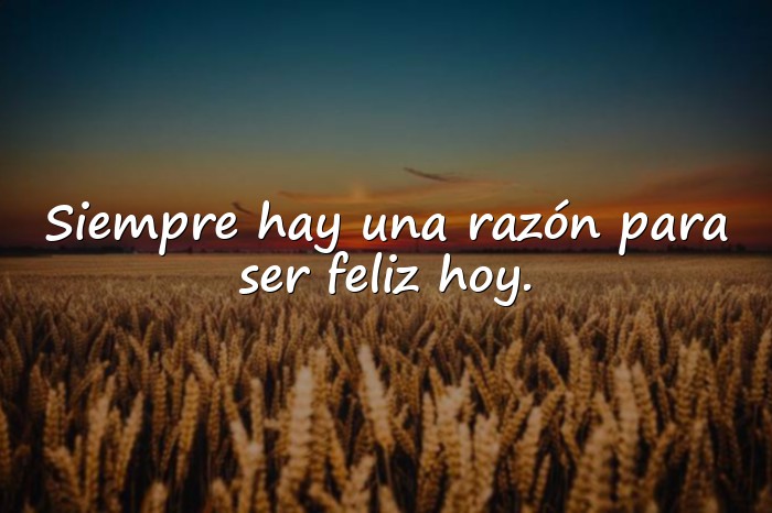 Imágenes frases de felicidad - 1