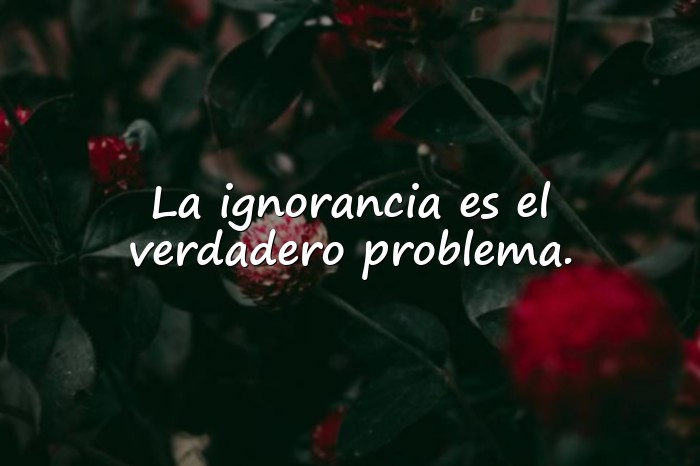 Imágenes frases de filosofia - 18