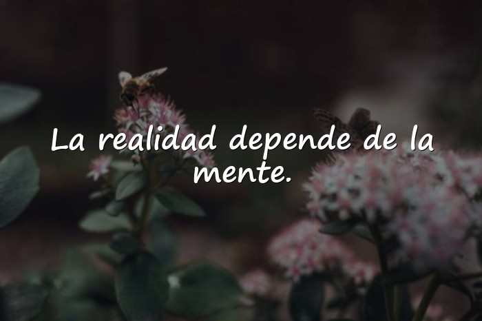 Imágenes frases de filosofia - 14
