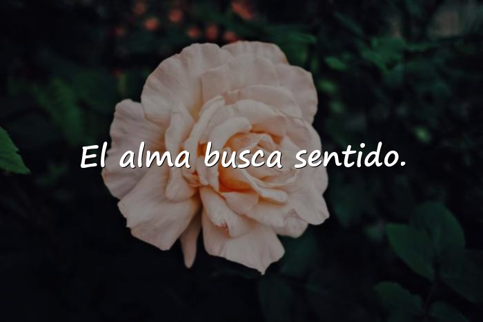 Imágenes frases de filosofia - 25